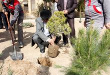 گزارش تصویری از آئیین درختکاری و تقدیر ازهمکاران فضای سبز دانشگاه